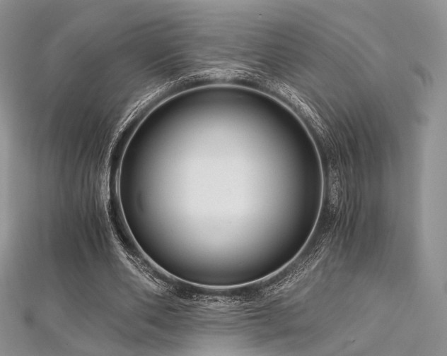 X0000112900486200908211520