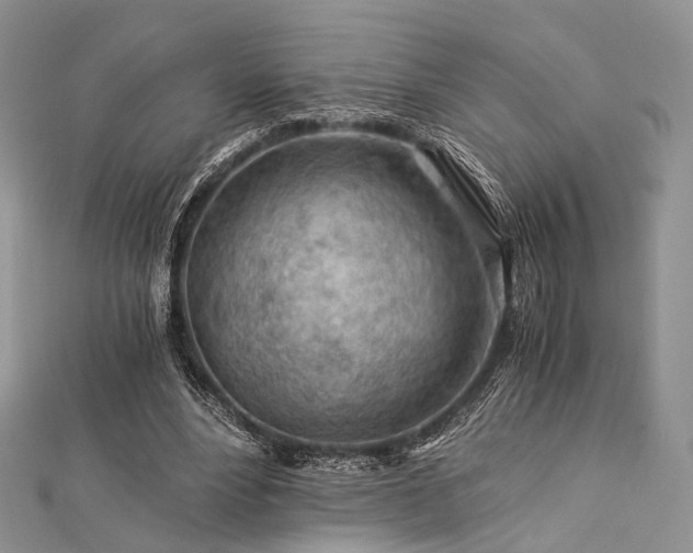 X0000112900488200908211520