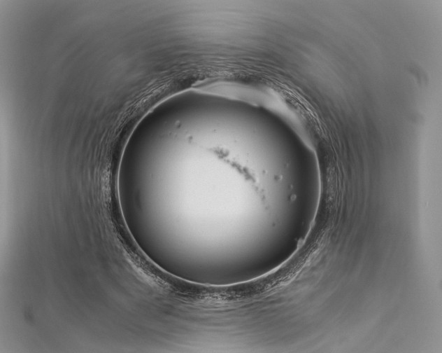 X0000112900489200908211520