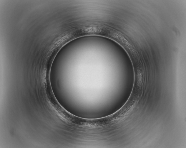 X0000112900490200908211520