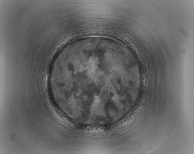 X0000112900491200908211520