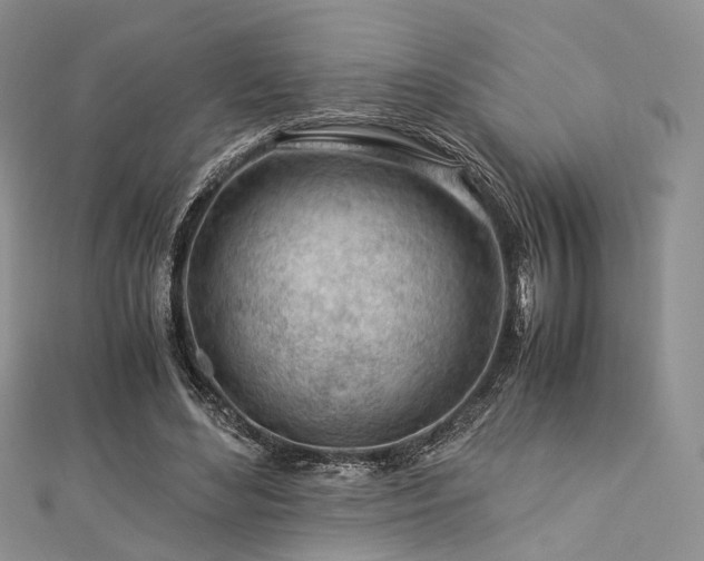 X0000112900492200908211520