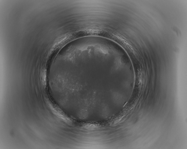 X0000112900494200908211519