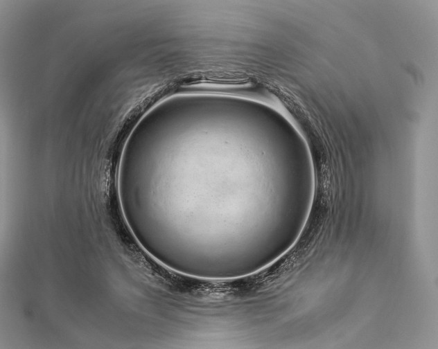 X0000112900495200908211519