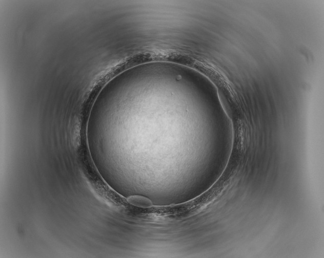 X0000112900496200908211519