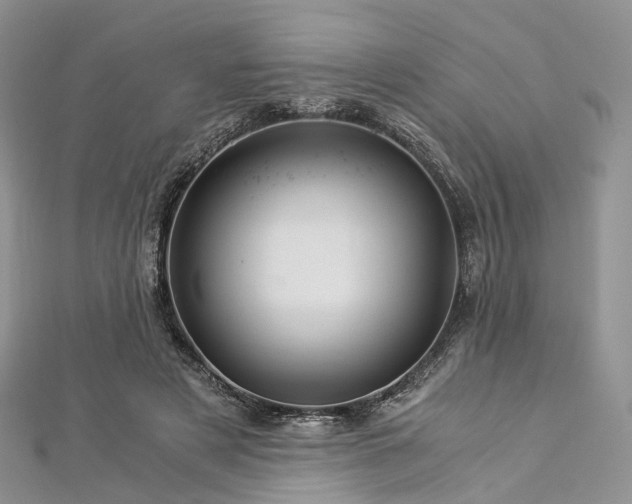 X0000112900497200908211519