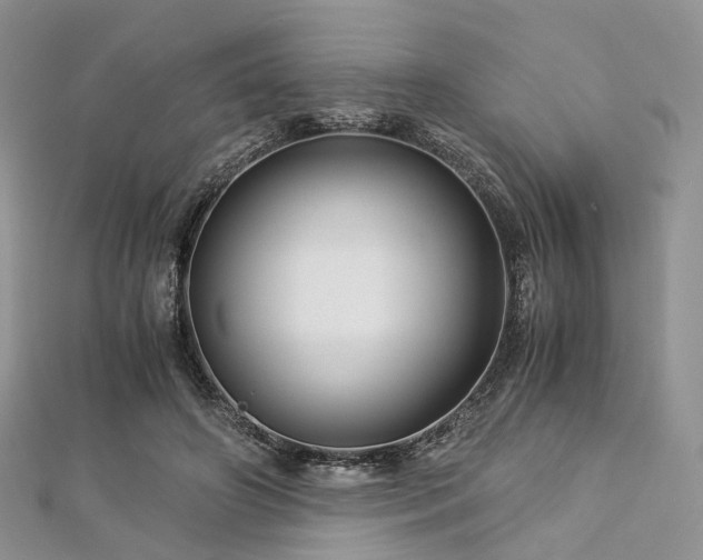 X0000112900498200908211519