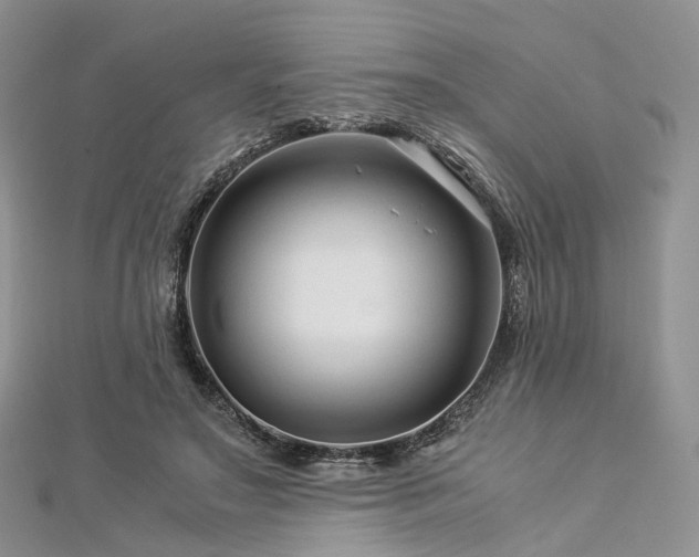 X0000112900499200908211519
