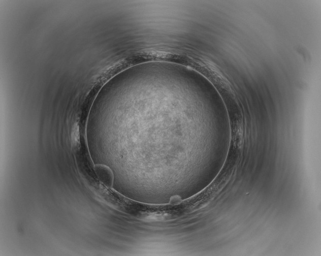 X0000112900500200908211519