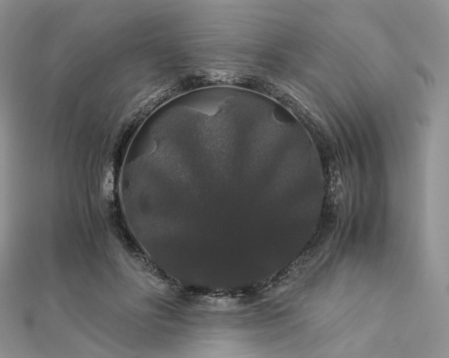 X0000112900502200908211519