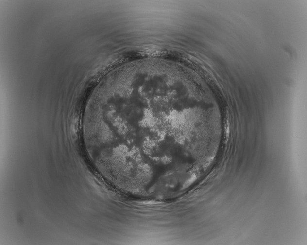X0000112900503200908211519