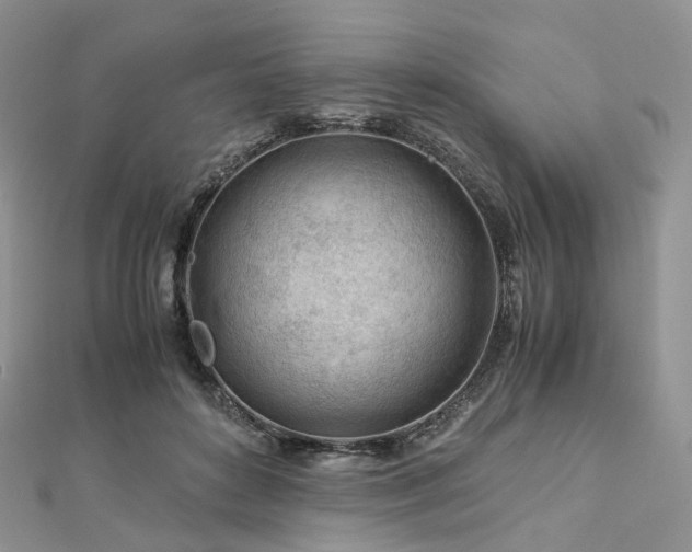 X0000112900504200908211519