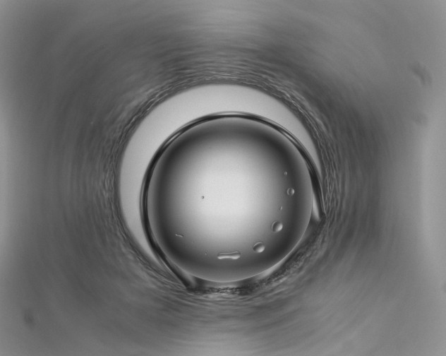 X0000112900505200908211519