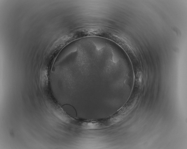 X0000112900506200908211519