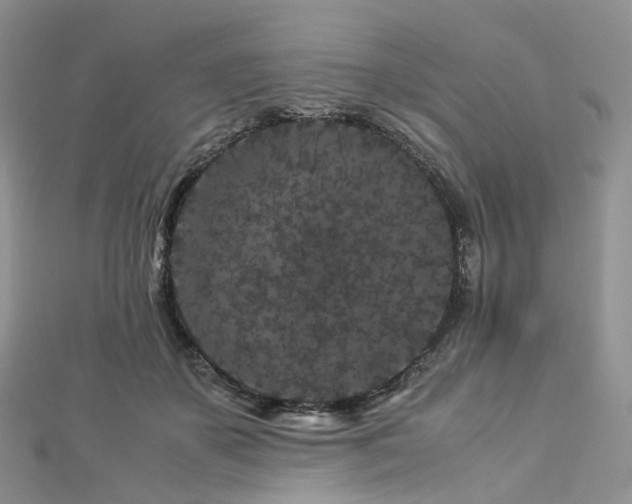 X0000112900507200908211519