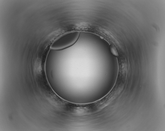 X0000112900508200908211519