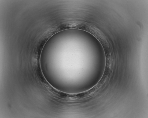 X0000112900510200908211519