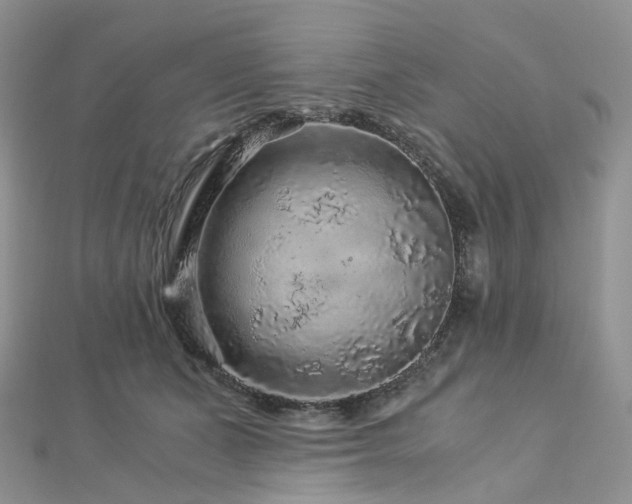 X0000112900511200908211519