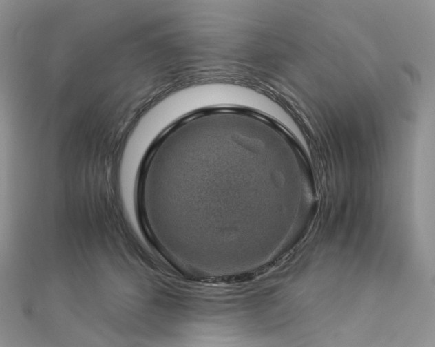 X0000112900512200908211519