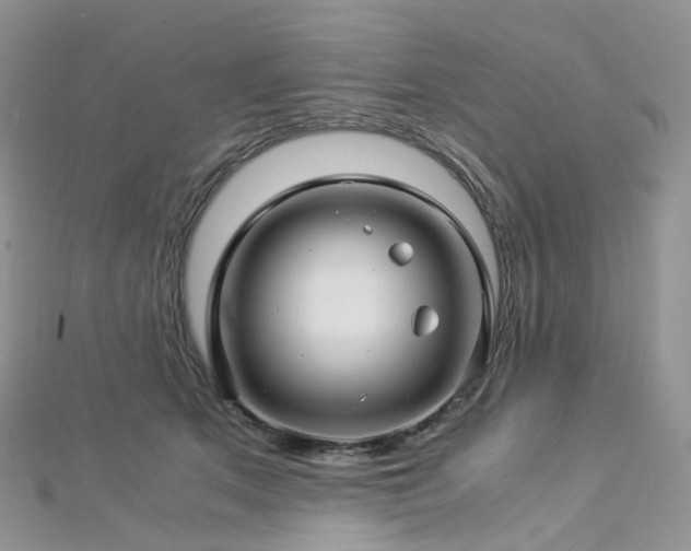 X0000112900513200908211519