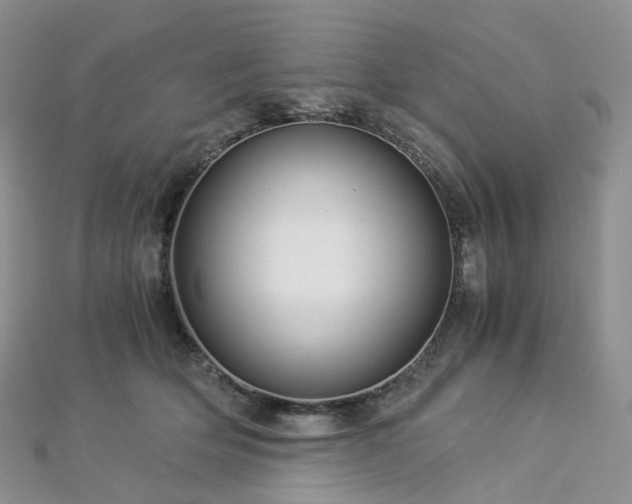 X0000112900514200908211519