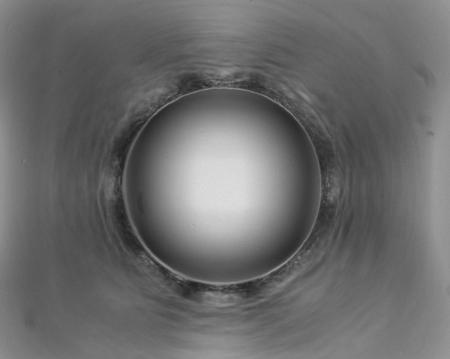 X0000112900515200908211519