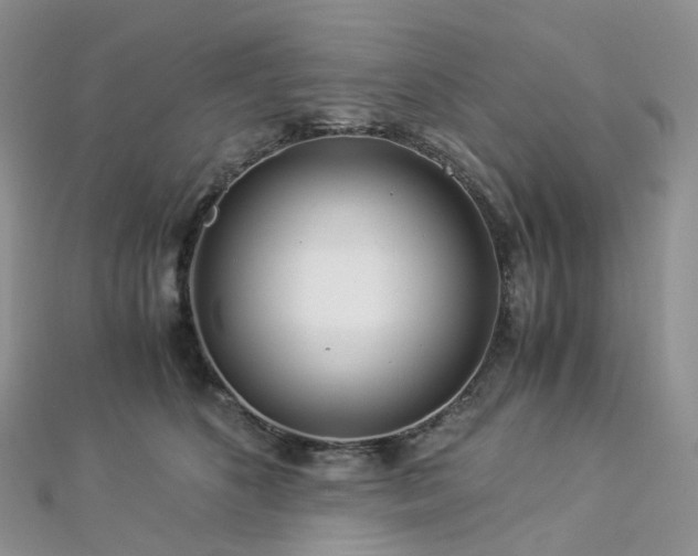 X0000112900516200908211519