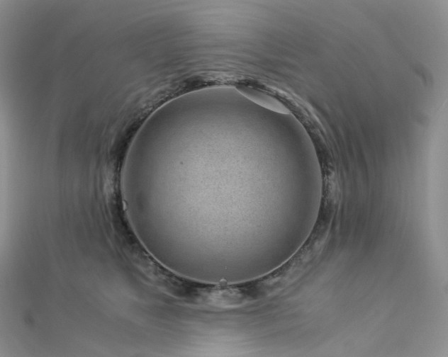 X0000112900517200908211519