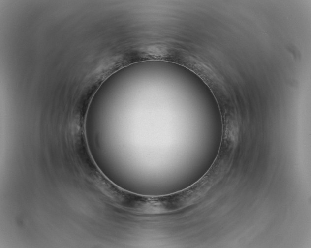 X0000112900518200908211519