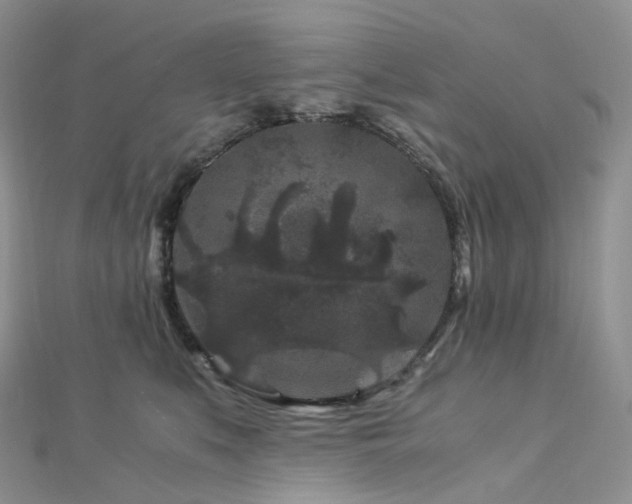 X0000112900519200908211519