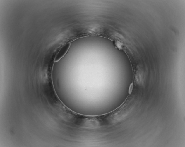 X0000112900520200908211519