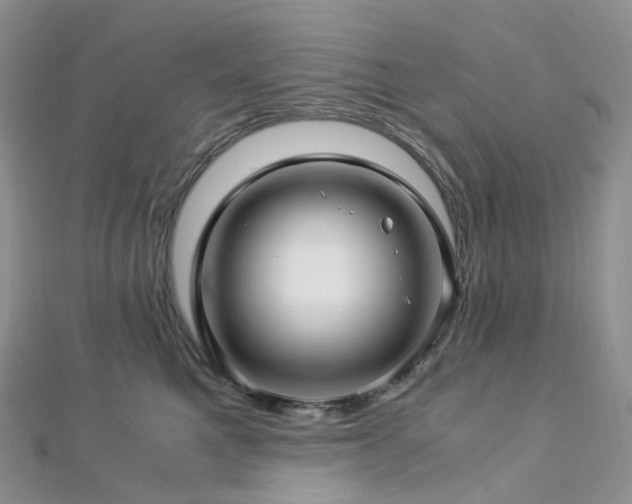 X0000112900521200908211519