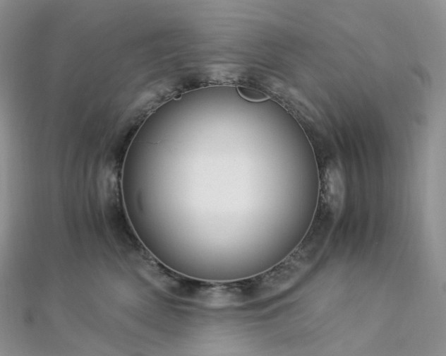 X0000112900522200908211519