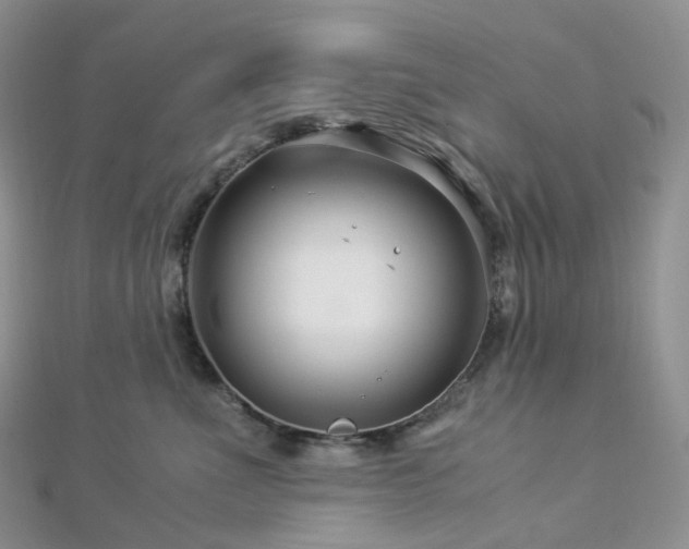 X0000112900523200908211519