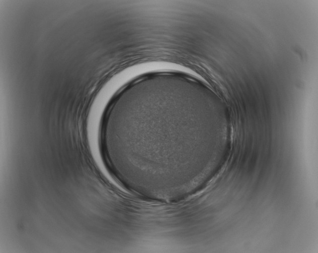 X0000112900524200908211519