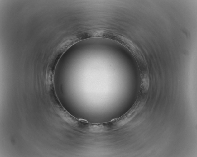 X0000112900525200908211519