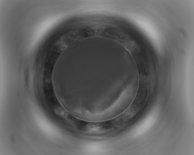 X0000112900526200908211519