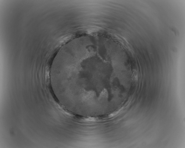 X0000112900527200908211519