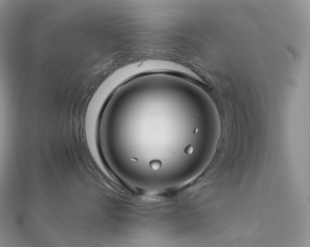 X0000112900528200908211519