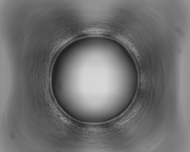 X0000112900529200908211518