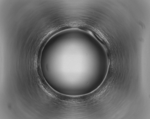 X0000112900530200908211518