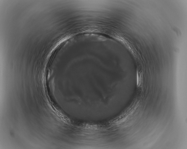 X0000112900531200908211518