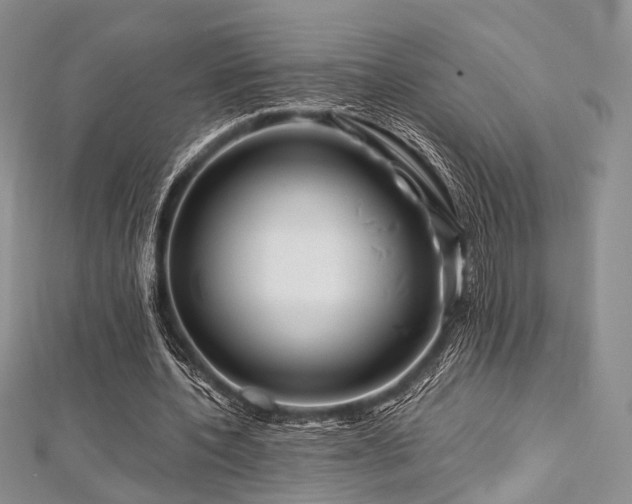 X0000112900532200908211518