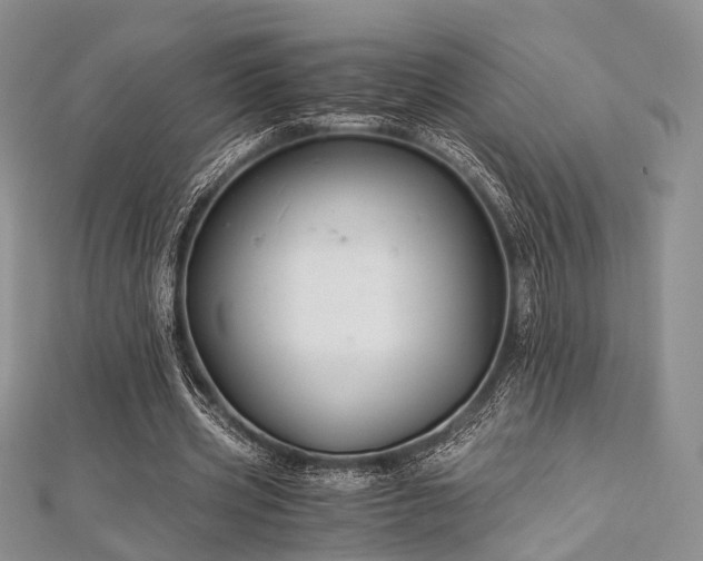 X0000112900533200908211518