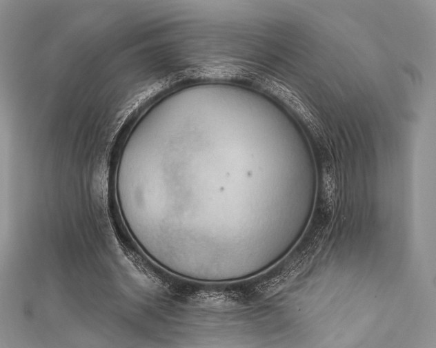X0000112900534200908211518