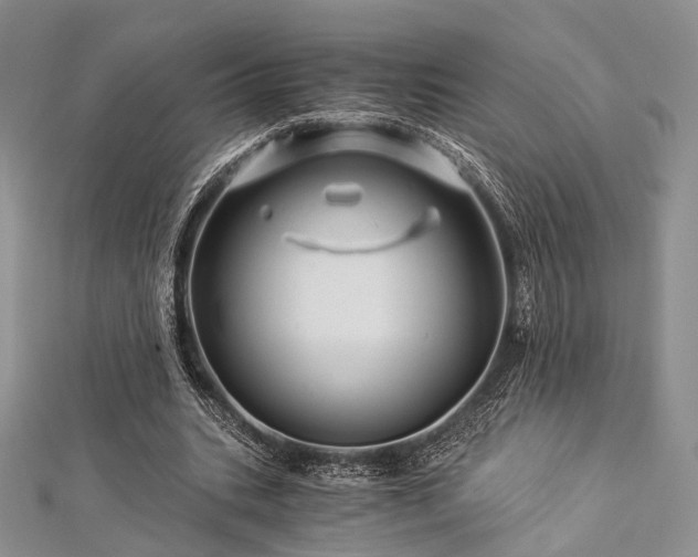 X0000112900535200908211519