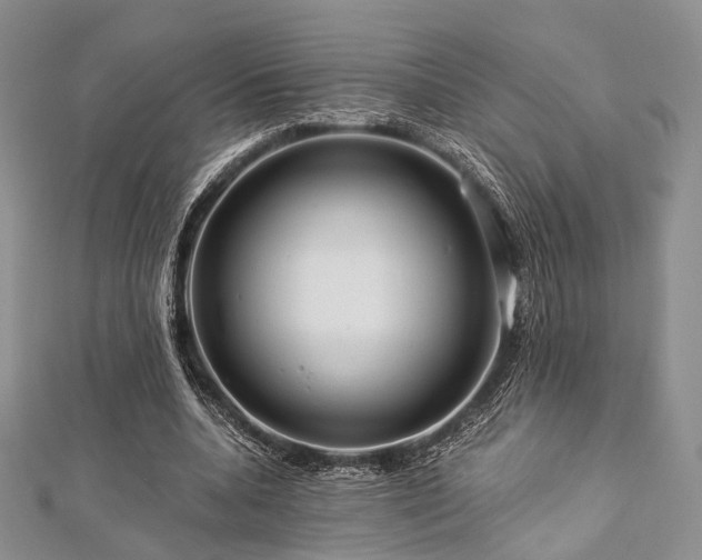 X0000112900536200908211519