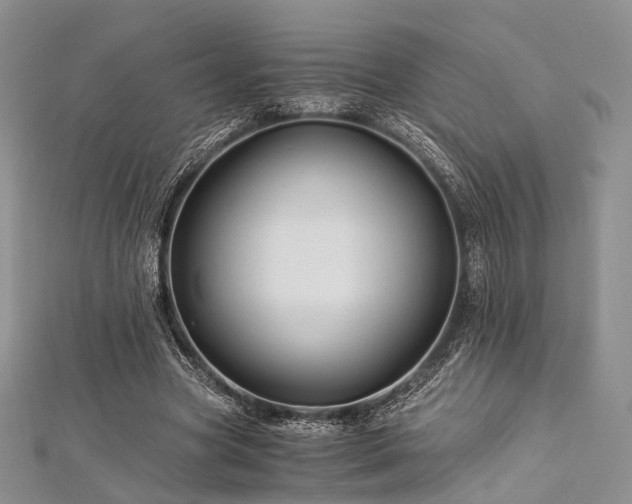X0000112900537200908211519