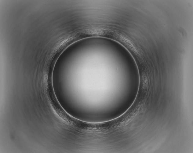 X0000112900538200908211519