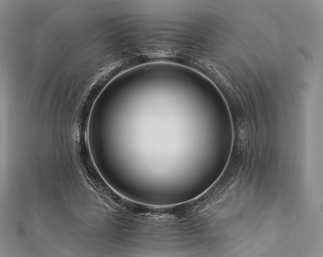 X0000112900539200908211519